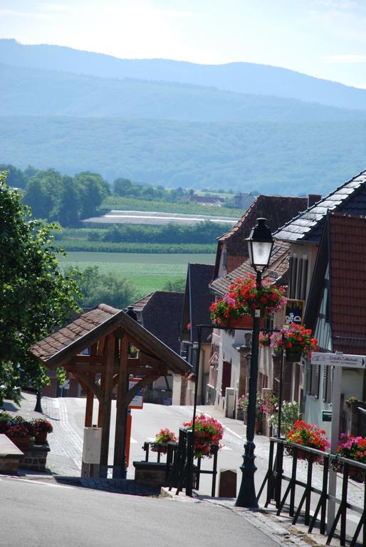 La Maison De Georges - Les Coquelicots Scharrachbergheim-Irmstett Szoba fotó